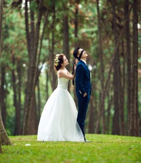 婚禮椅背完美裝飾給你帶來意想不到的驚喜